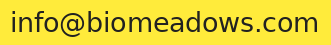email address